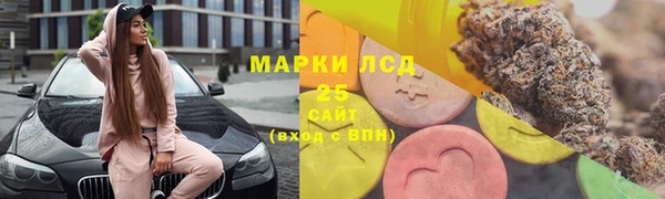 ПСИЛОЦИБИНОВЫЕ ГРИБЫ Абаза