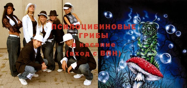 ПСИЛОЦИБИНОВЫЕ ГРИБЫ Абаза
