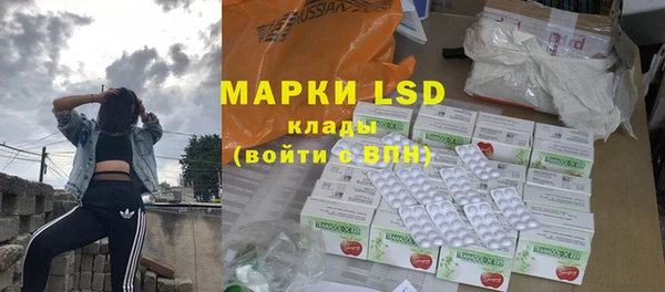 ПСИЛОЦИБИНОВЫЕ ГРИБЫ Абаза