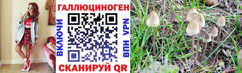KRAKEN ССЫЛКА  Иноземцево  Галлюциногенные грибы ЛСД 
